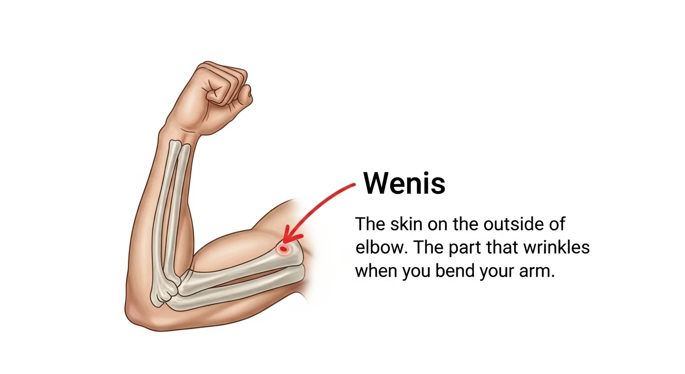wenis meaning