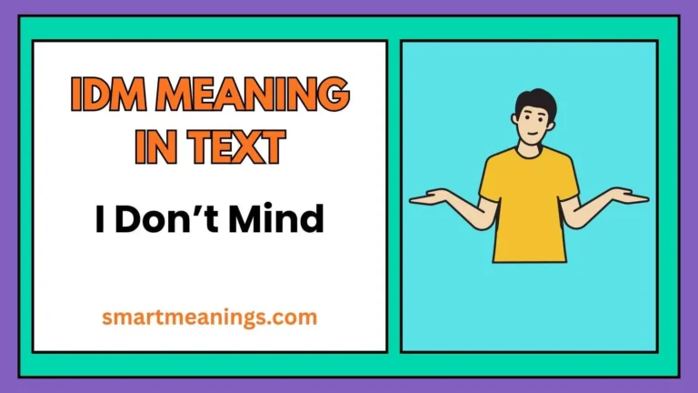 IDM Meaning in Text